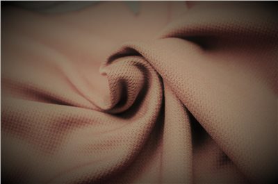 鳥眼布  BE0218