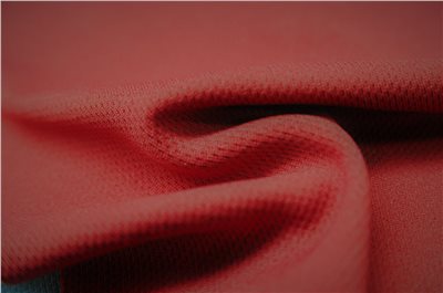 鳥眼布  BE0219
